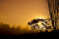 Sunrise at Stockbridge Bowl -Studio Lana