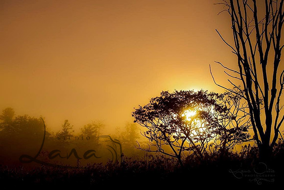Sunrise at Stockbridge Bowl -Studio Lana