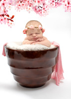 Newborn Photography in Albany NY by Studio Lana