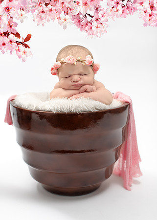 Newborn Photography in Albany NY by Studio Lana
