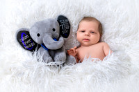 Newborn Photography in Albany NY by Studio Lana
