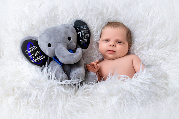 Newborn Photography in Albany NY by Studio Lana