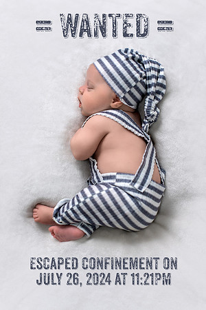 Newborn Photography in Albany NY by Studio Lana