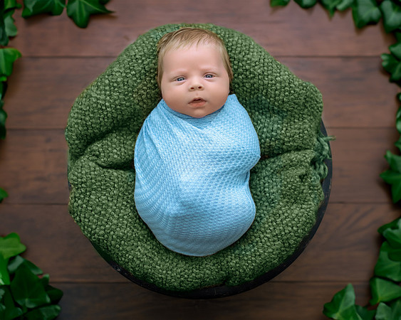 Newborn Photography in Albany NY by Studio Lana
