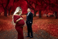 Expecting mother photographed by Studio Lana in Albany, NY. Elegant maternity portrait with soft lighting and timeless fine-art styling.