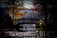 Bridge - Studio Lana