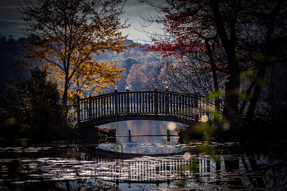 Bridge - Studio Lana