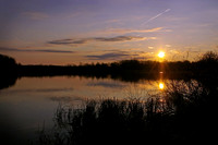 Sunrise - Studio Lana
