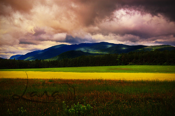 Keene Valley - Lana Ortiz